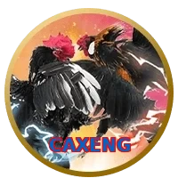 CAXENG